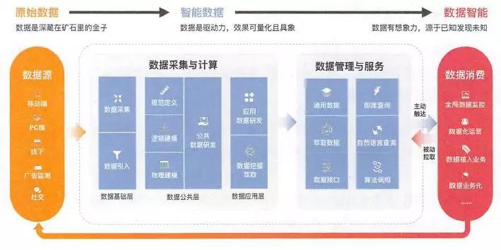 新奥精准免费资料提供，精选解释解析落实的重要性