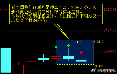 精准一肖一码一子一中，深度解析与精选策略实践