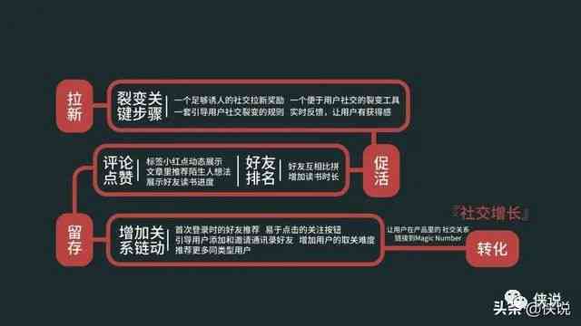 关于一肖一码一中一特的解析与落实策略，走向成功的关键要素（精选解释解析落实）