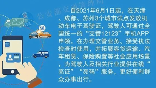 新澳门挂牌解析与落实策略，走向成功的指引（精选篇）