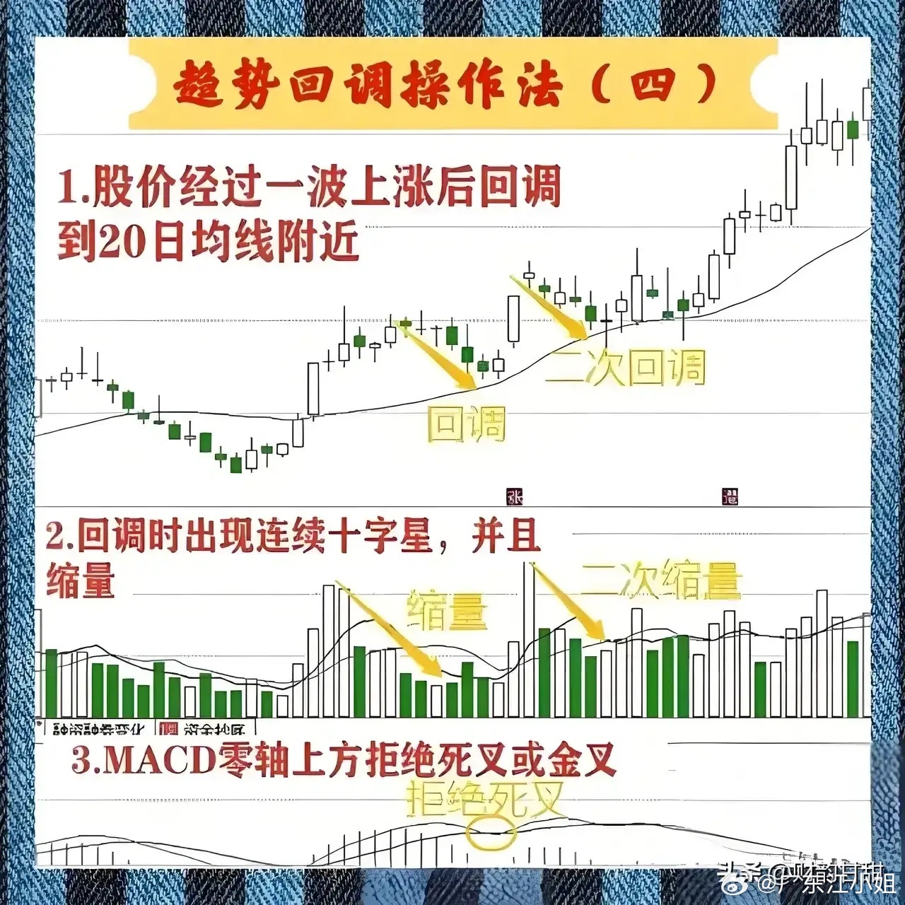 关于一肖一码一中一特的解析与落实策略，走向成功的指引（精选解释解析落实）