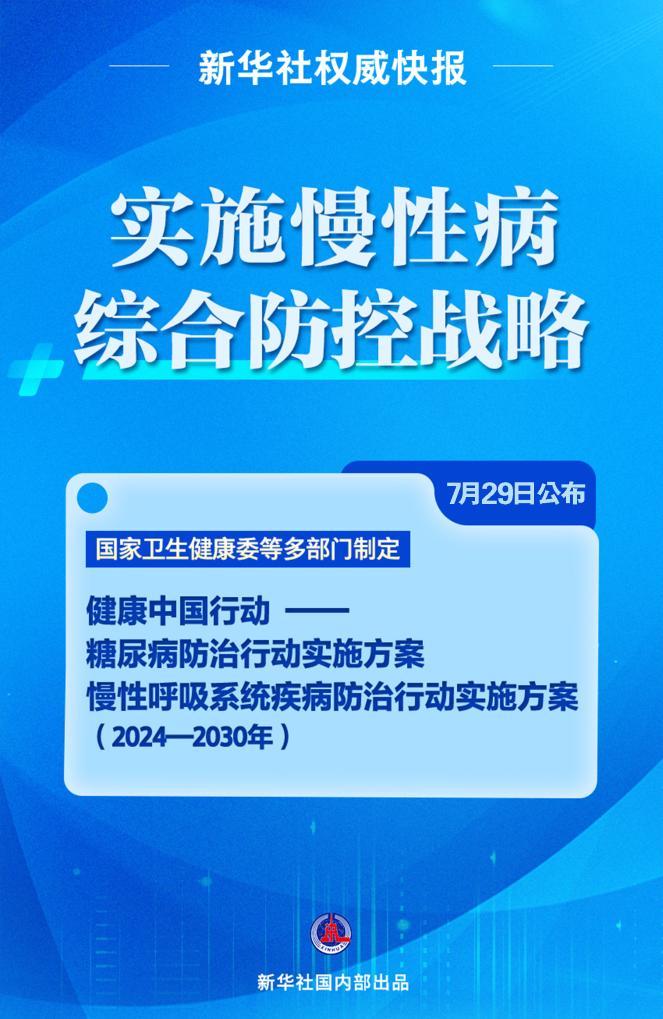 精准正版资料解析与落实策略，走向成功的关键步骤