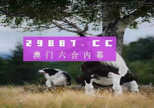 澳门最准四不像正版资料解析与落实精选解析