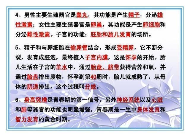 澳冂凤凰资料大全，精选解释解析落实