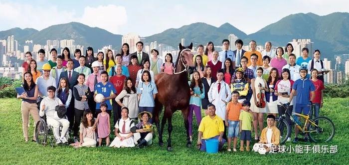 揭秘香港马会彩票开奖号码背后的秘密，解析与落实策略