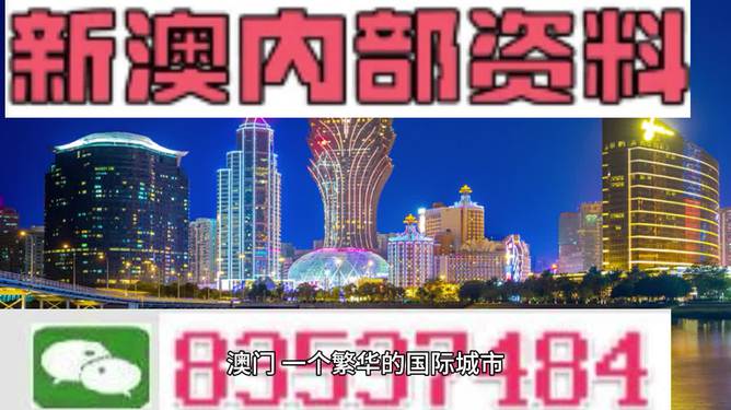 新澳门精准免费大全解析与落实策略