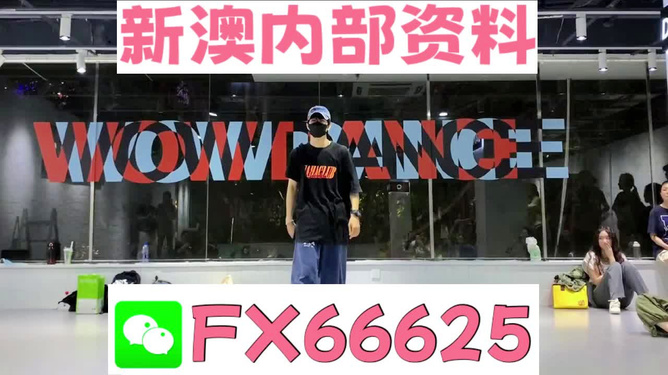 新澳门精准资料大全与管家婆料，解析、精选及实施策略