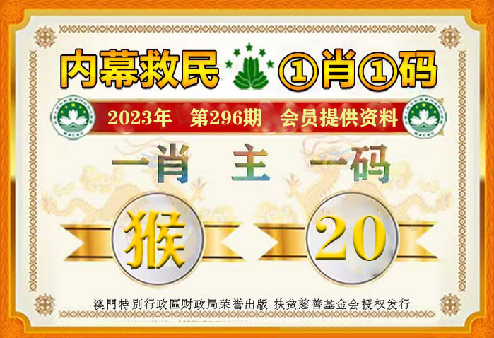 新澳2024年精准一肖一码，解析与落实的精选解释