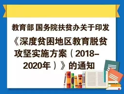 一码一肖，精准评论与深度解析的落实之道