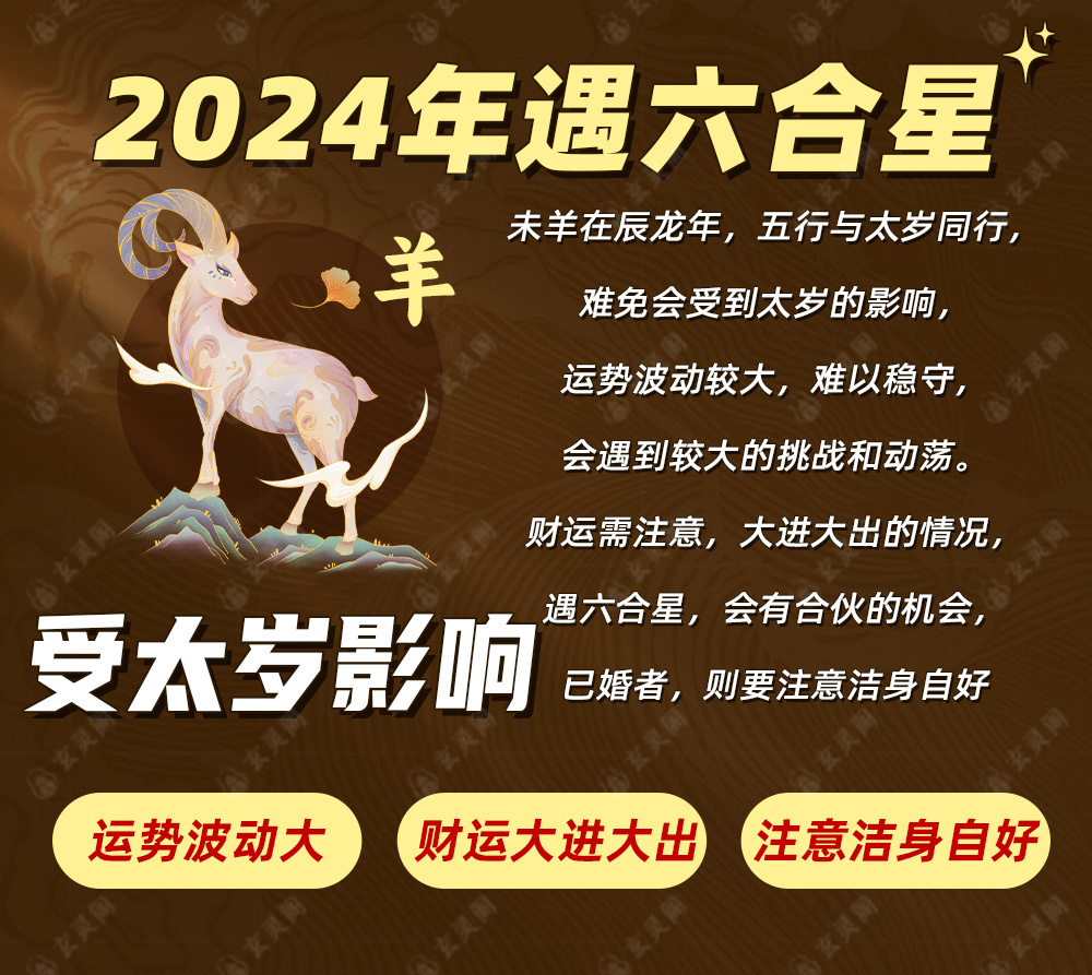 新澳2024一肖一码道玄真人，解析与落实的精选解释