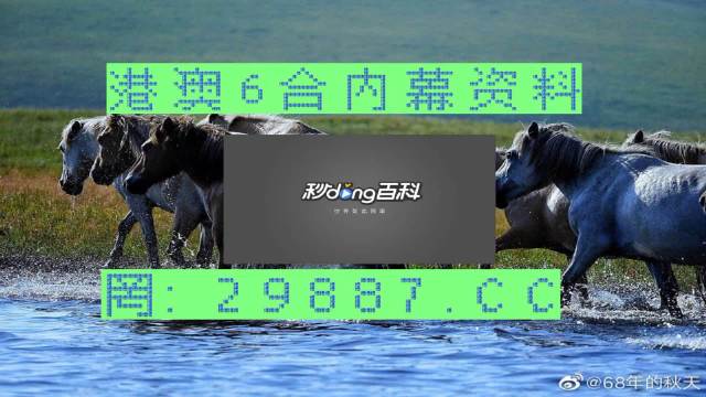 澳门马会精确免费资料，解析与落实精选解释