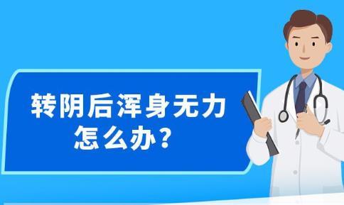 关于新澳精准资料的分享与解析落实策略