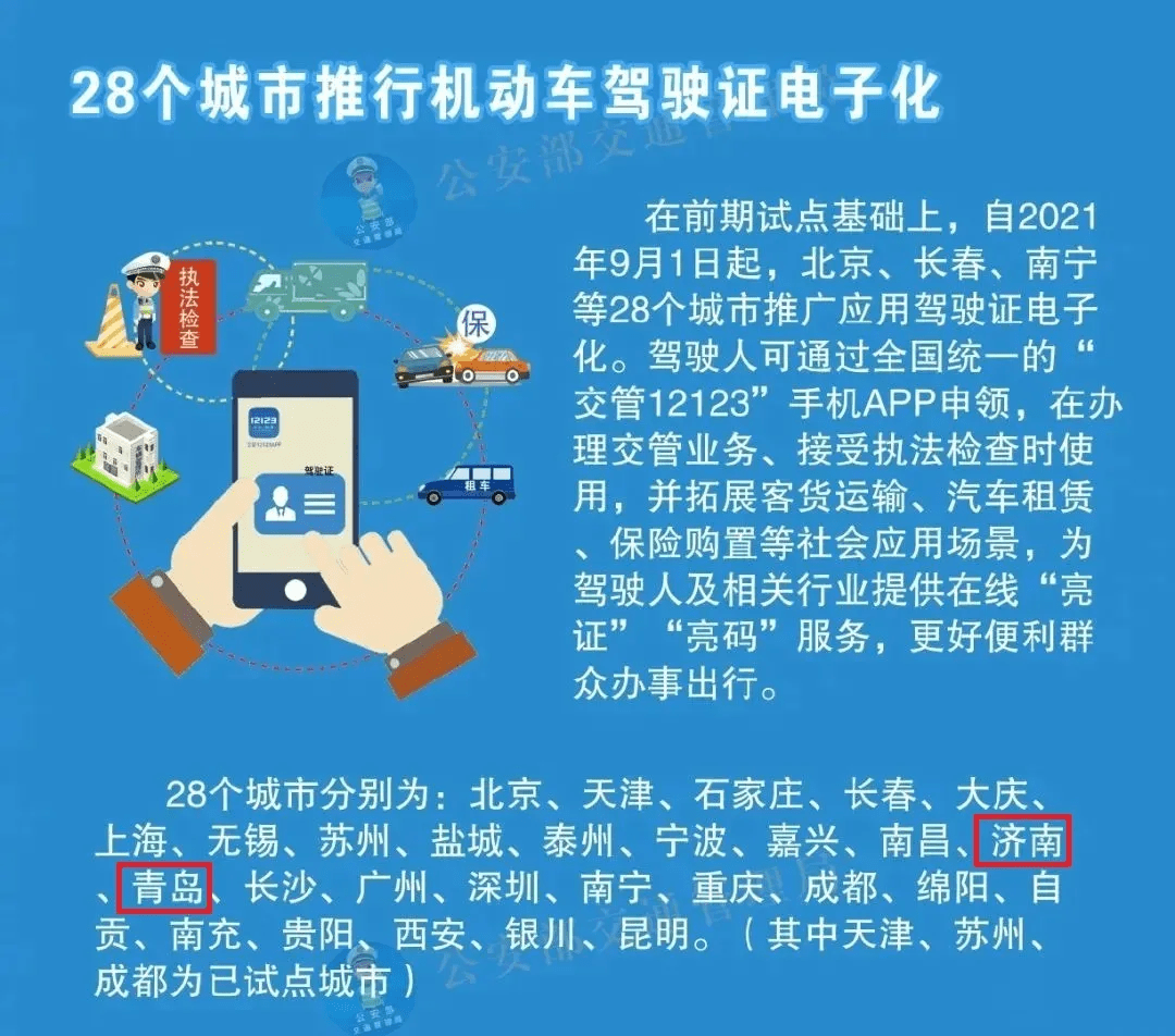 澳门天天彩期期精准十二生肖解析与精选解释解析落实策略