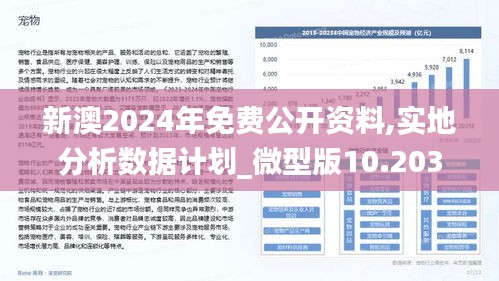 揭秘2024新澳最准最快资料，精选解释解析与落实策略