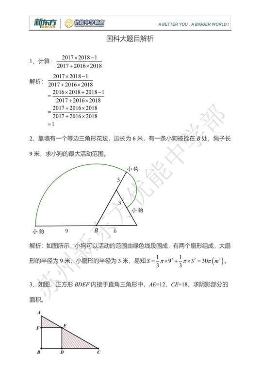 澳门正版挂牌全篇，自动操作与精选解析的落实之道