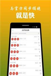 澳门2023历史开奖记录大全，解析与落实的精选解释