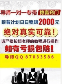 澳门天天彩免费资料大全免费查询，精选解释解析落实与违法犯罪问题探讨