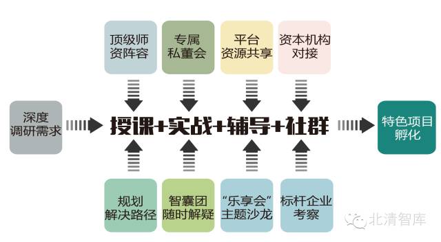 探索精准论坛，解析精选策略与落实行动指南