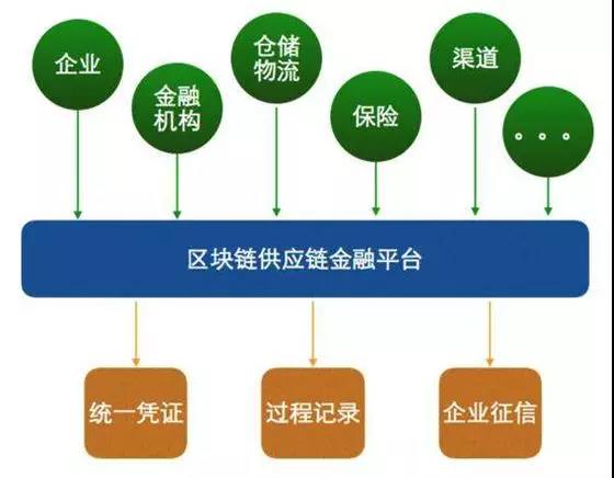 探索精准管家婆大联盟特色，解析与落实精选策略