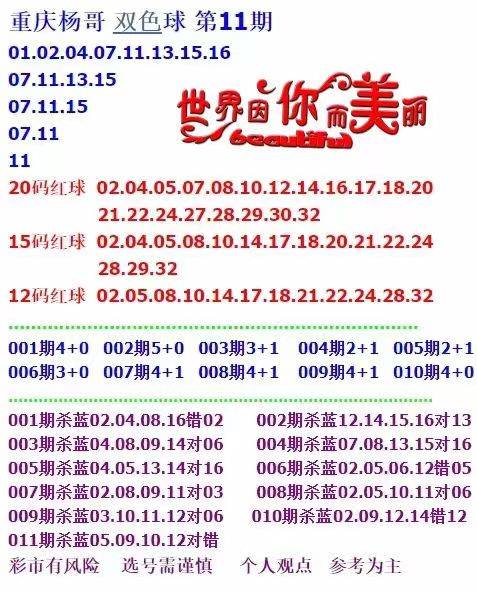 新澳天天开奖资料精选解析与落实策略