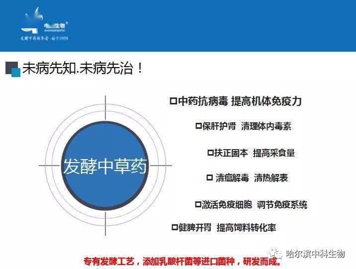 新奥天天免费资料单双精选解析与落实策略