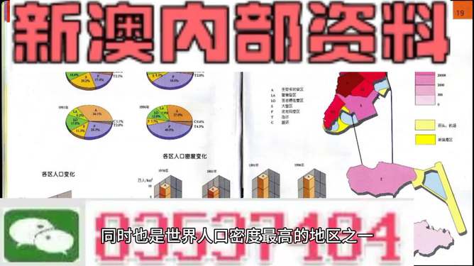 新澳门资料大全正版资料解析与精选落实策略