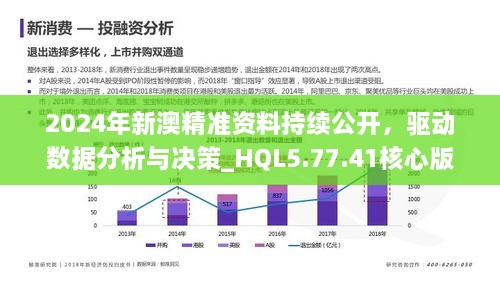 新澳2024年精准资料解析与落实策略，走向成功的指引灯塔