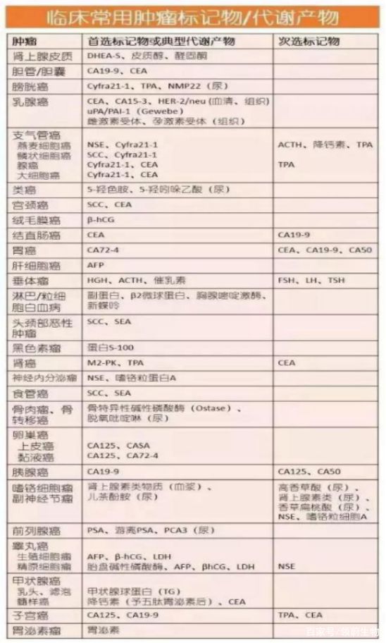 最精准的三肖三码资料解析与落实精选解析