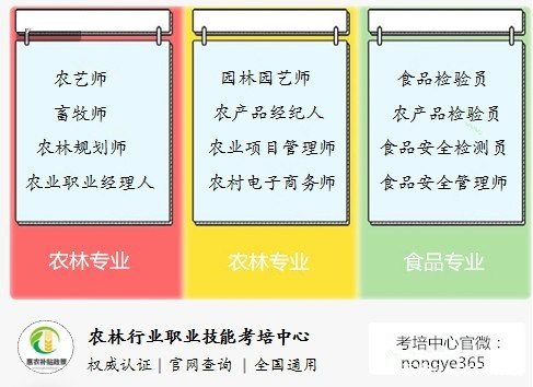 解析新奥精准免费策略，实施细节与未来展望