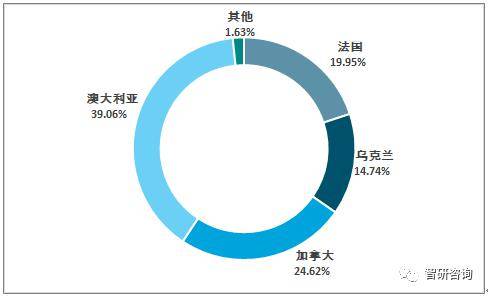 新澳2024年精准资料期期分析与解析落实策略