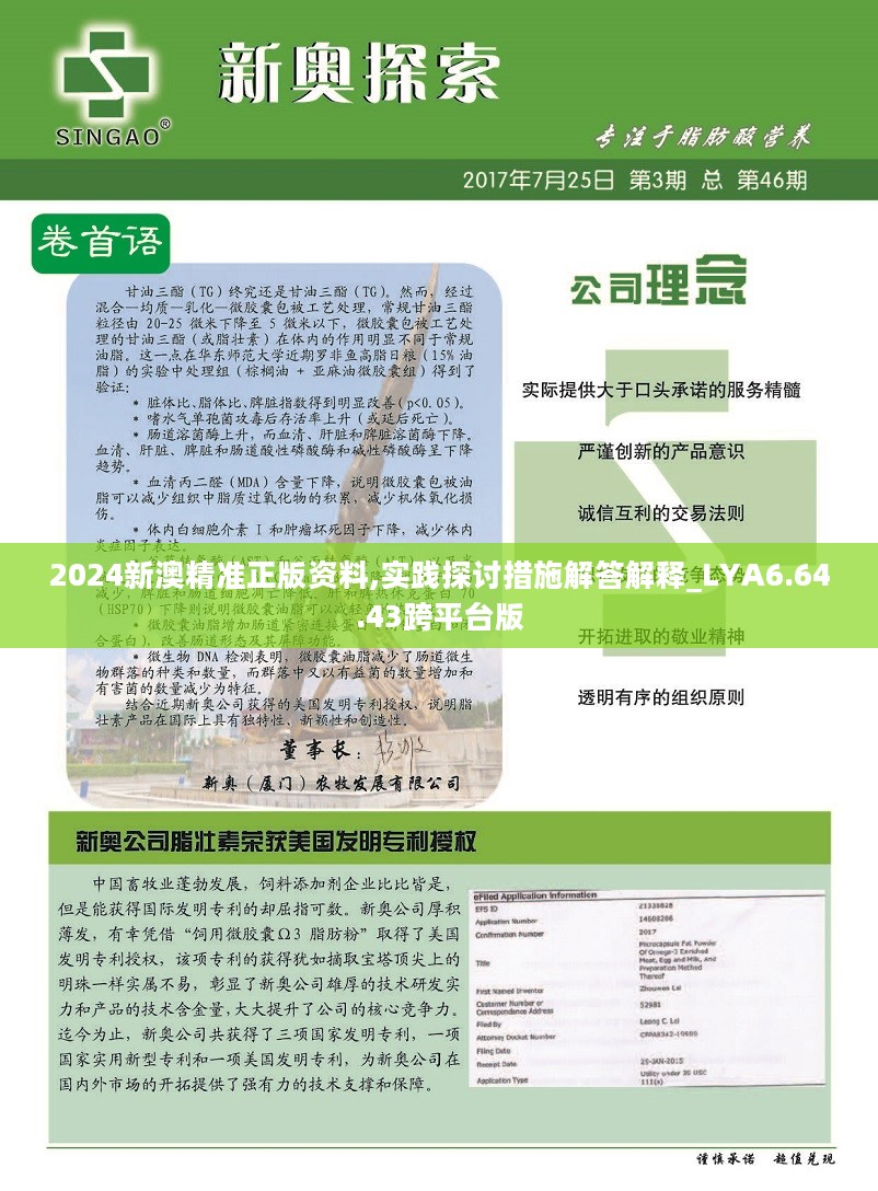 新澳2024年精准资料33期，解析与落实精选解释