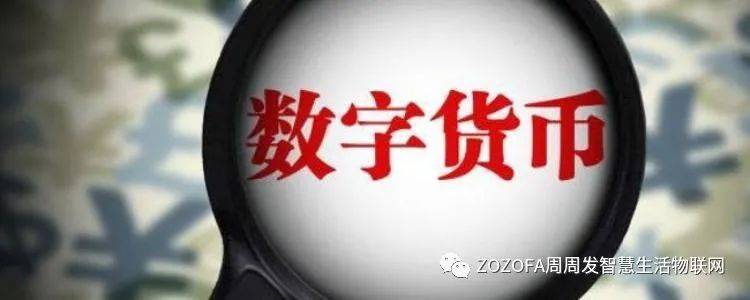 打开澳门网址免费资料，精选解释解析落实的重要性与策略