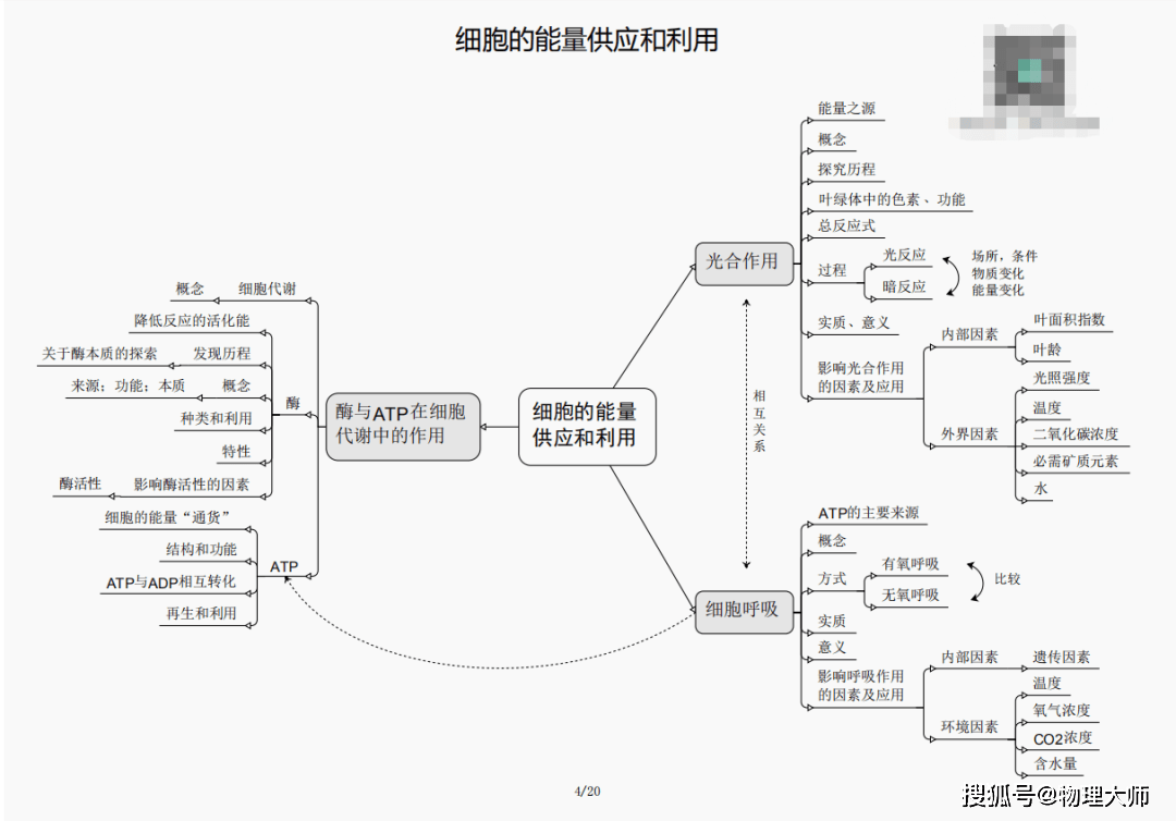 今晚必出三肖，解析与精选策略