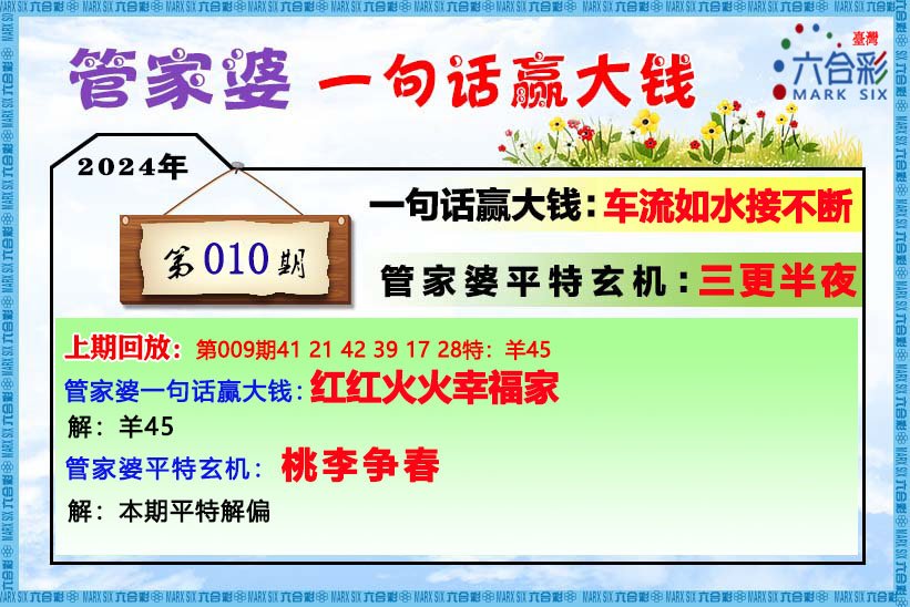 关于202管家婆一肖一码的解析与落实精选策略