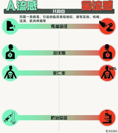 关于H7N9禽流感最新人数的深度探讨