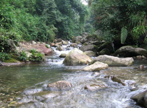 九龙沟风景区最新消息