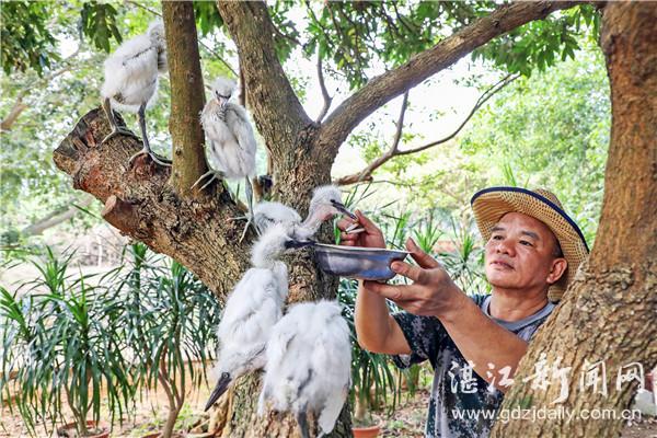 梁医生不可以最新章节目录揭秘