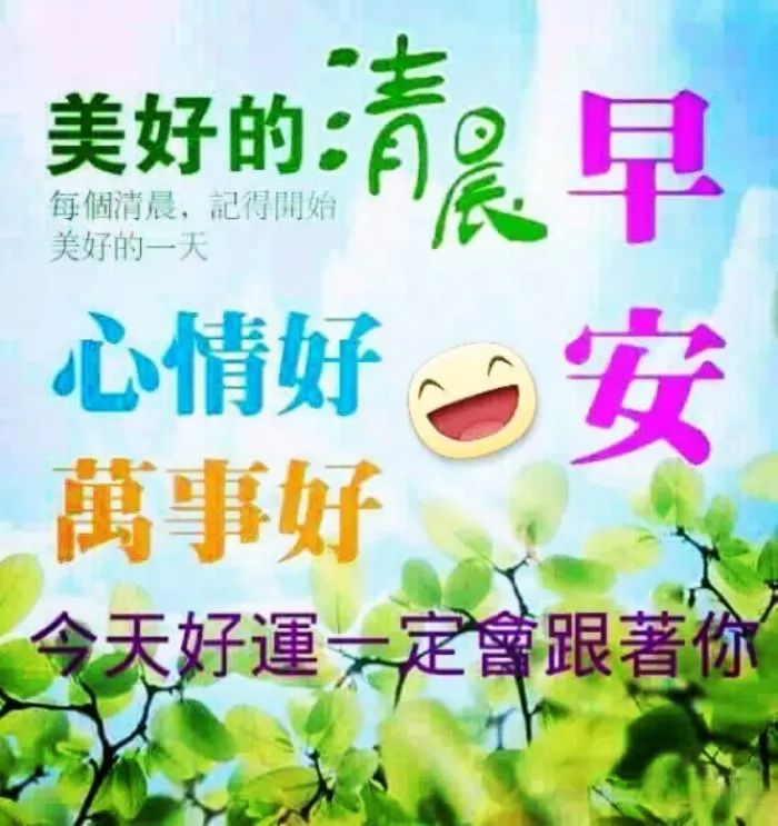 早晨的空气是最新鲜的，唤醒自然与生活的美好旋律