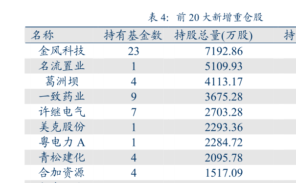 中金策略基金净值最新动态及其影响