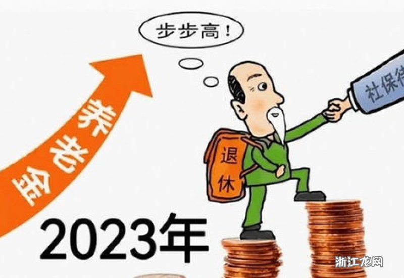 社保局养老金最新消息，政策调整与未来展望