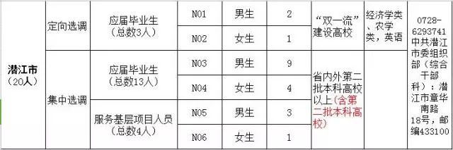 枝江城区最新招聘动态及其影响