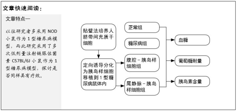 干细胞治疗糖尿病的最新进展