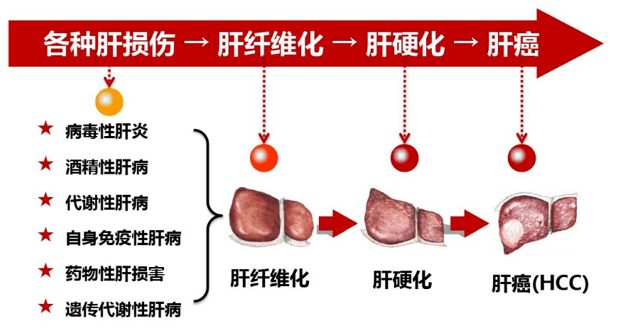 2020年干细胞最新治疗公布，重塑生命的新希望