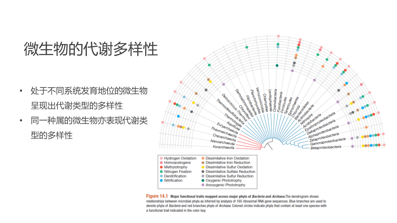 厌氧微生物学最新书籍概览