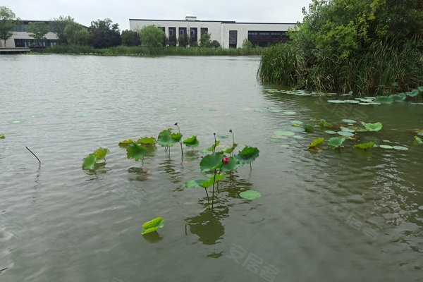 富力乌衣水镇最新消息全面解读